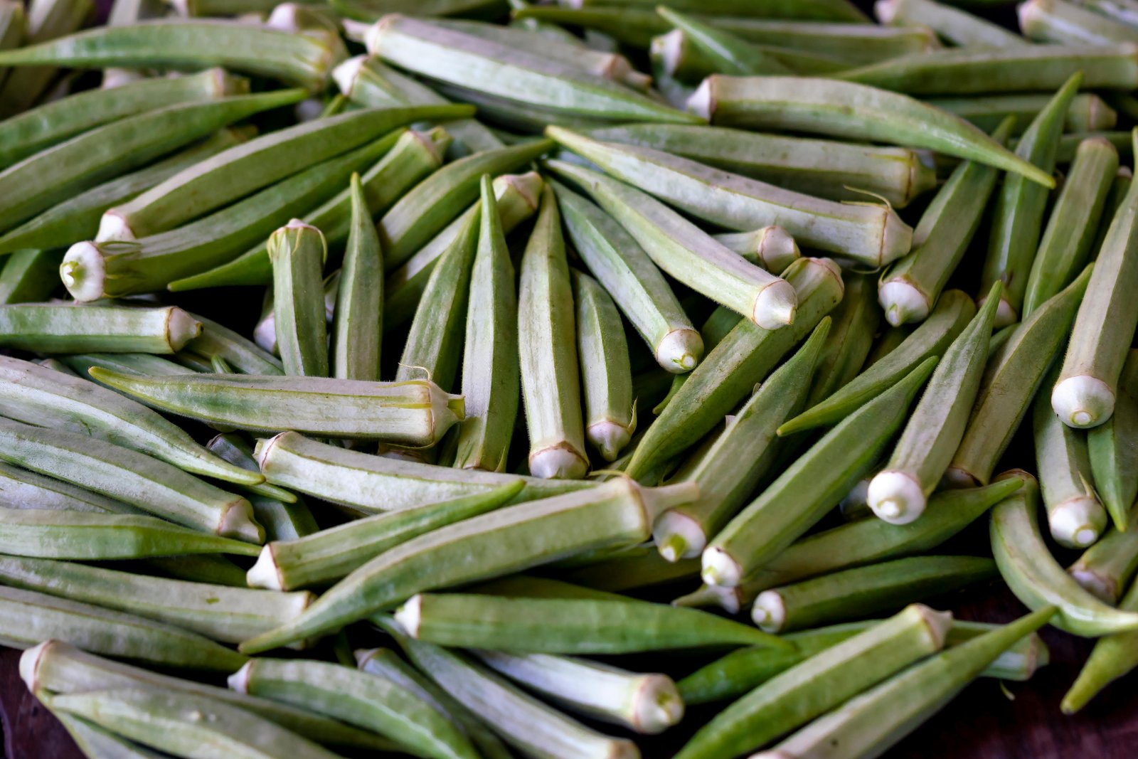 Fresh Onion