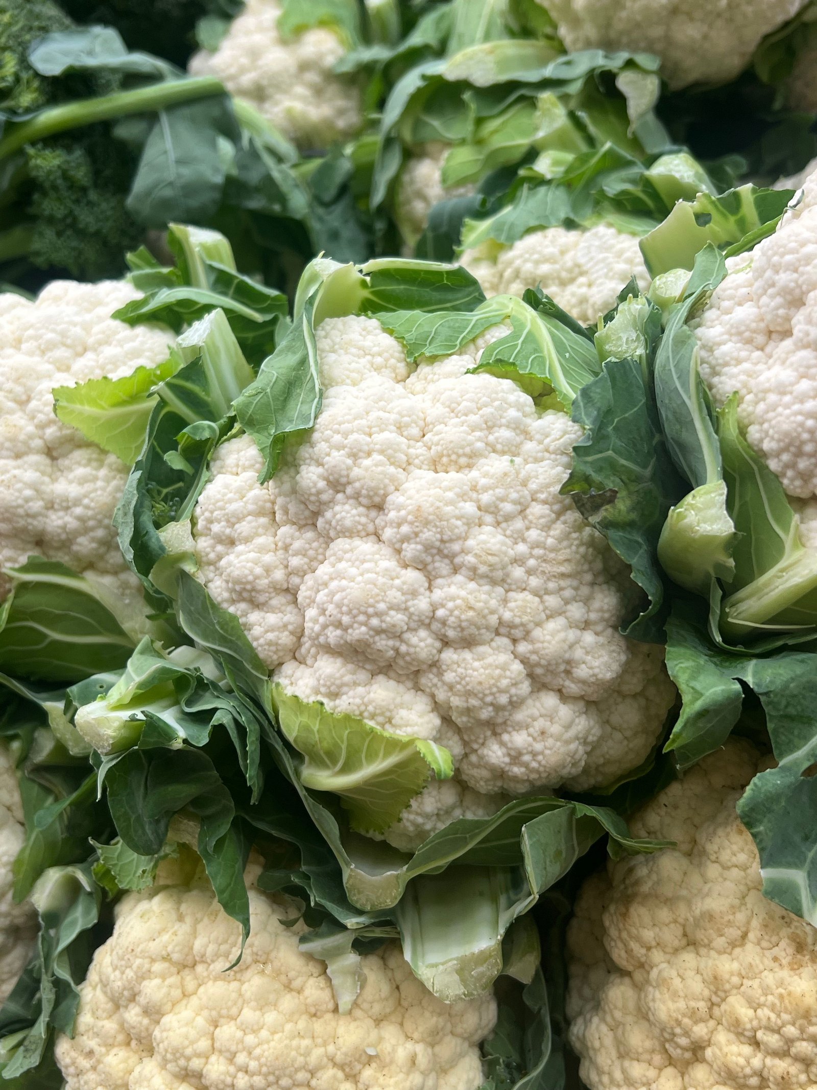 Fresh Cauliflower