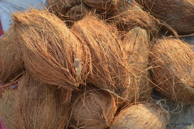 Fresh Coconut